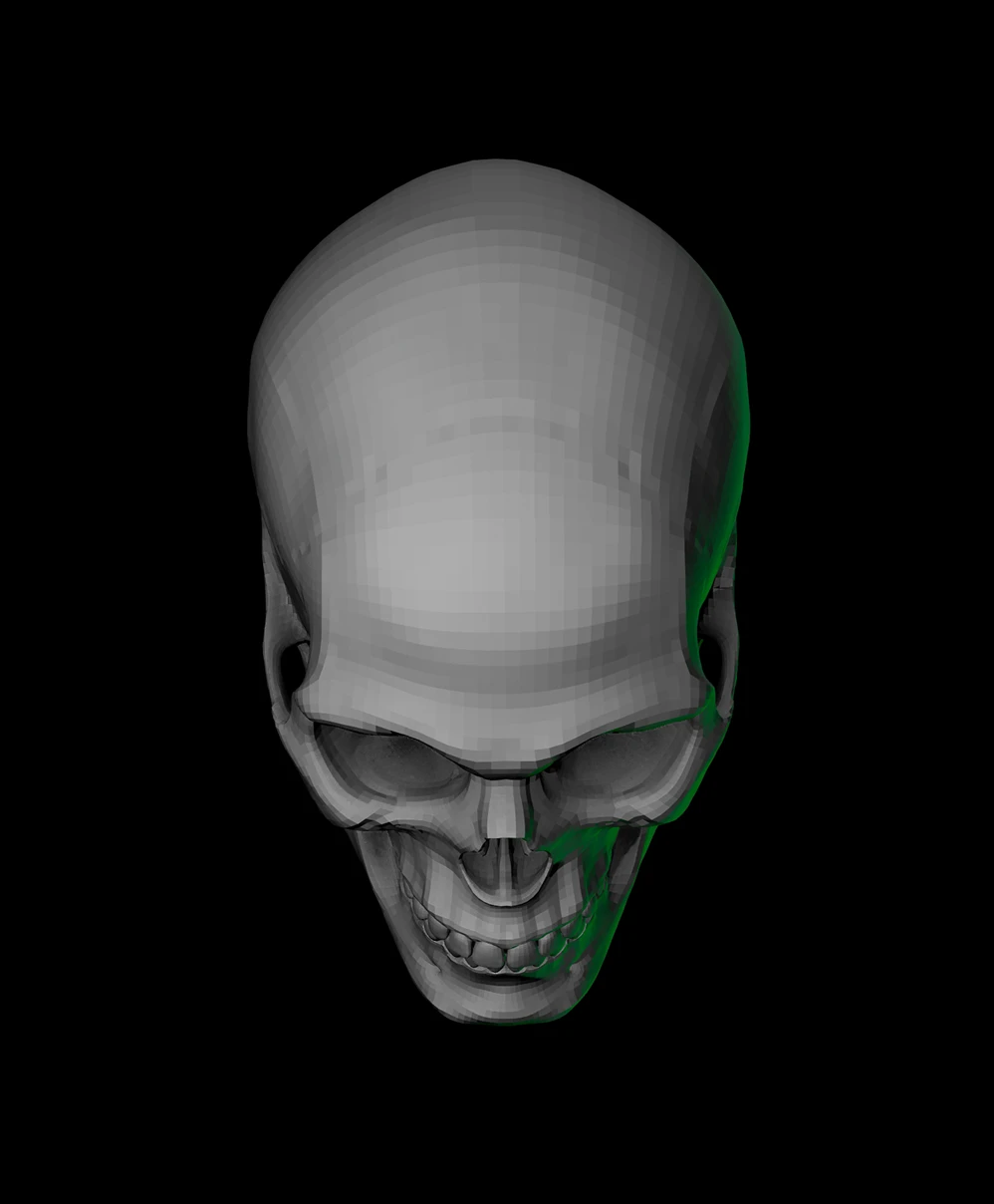 Skull viewed from the top with high-key lighting and subtle rim lighting on the right side.