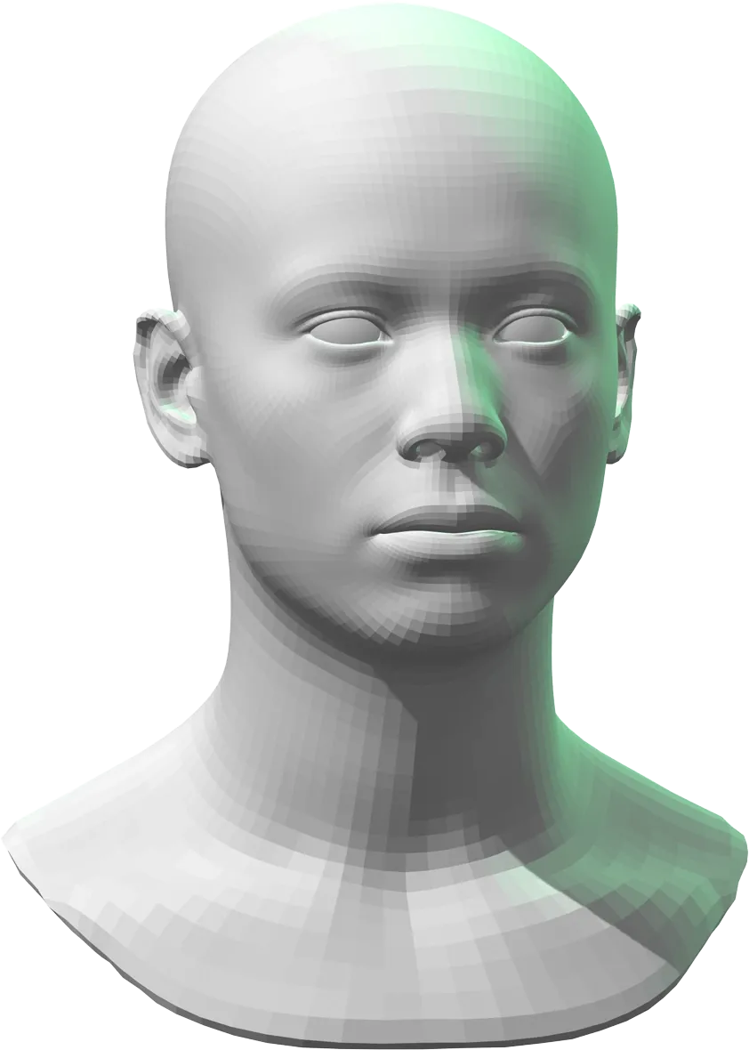A grayscale 3D model of the human head