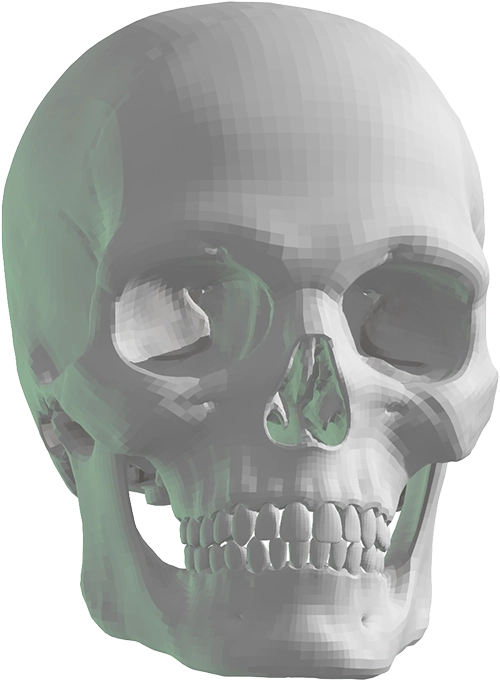 3D-rendered human skull with lighting and shadows.