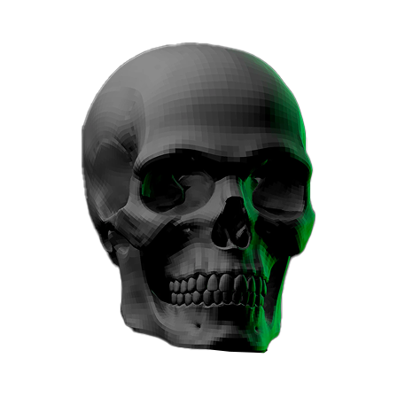 3D-rendered human skull with neutral key light and green rim light.
